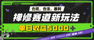 暴利禅修赛道新玩法，合规合法，单日收益5k-网创资源