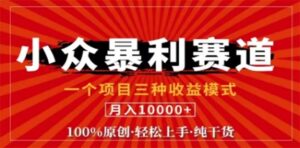 （12756期）视频号最新爆火赛道，三种可收益模式，0粉新号条条原创条条热门 日入1000+-网创资源