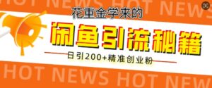 花重金学来的闲鱼到流秘籍，日引200+精准创业粉-网创资源