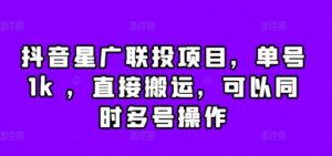 抖音星广联投项目，单号1k ，直接搬运，可以同时多号操作【揭秘】-网创资源