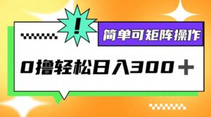 （12740期）0撸3.0，轻松日收300+，简单可矩阵操作-网创资源
