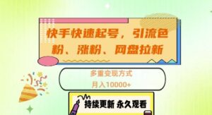 快手快速起号，引流s粉、涨粉、网盘拉新多重变现方式，月入1w【揭秘】-网创资源