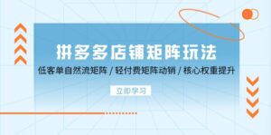 （12720期）拼多多店铺矩阵玩法：低客单自然流矩阵 / 轻付费矩阵 动销 / 核心权重提升-网创资源