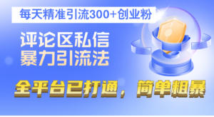 （12714期）评论区私信暴力引流法，每天精准引流300+创业粉，全平台已打通，简单粗暴-网创资源