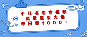 （12707期）小红书治愈视频，流量超级火爆，单日变现1000+-网创资源