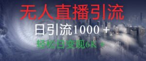 抖音快手视频号全平台无人直播引流1000+精准创业粉玩法拆解-网创资源