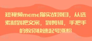 短视频meme猫实战项目，从选素材到把文案，到剪辑，手把手的教你快速起号涨粉-网创资源
