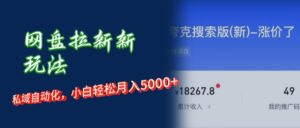 （12691期）网盘拉新新玩法：短剧私域玩法，小白轻松月入5000+-网创资源