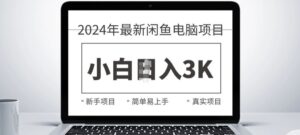 2024最新闲鱼电脑项目，动手就能吃肉的好项目-网创资源