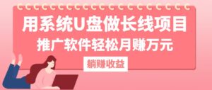 （12666期）用系统U盘做长线项目，推广软件轻松月赚万元（附制作教程+软件）-网创资源