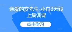 亲爱的安先生-小白3天线上集训课-网创资源