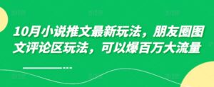 10月小说推文最新玩法，朋友圈图文评论区玩法，可以爆百万大流量-网创资源