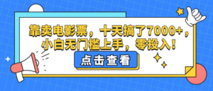 （12665期）靠卖电影票，十天搞了7000+，小白无门槛上手，零投入！-网创资源