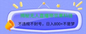 揭秘无人直播带货黑科技，不违规不封号，日入几张-网创资源