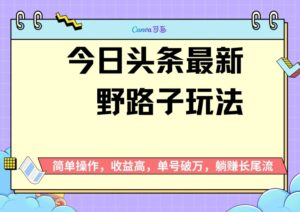 头条最新野路子玩法，无成本简单上手，无脑操作，新手单号过W-网创资源