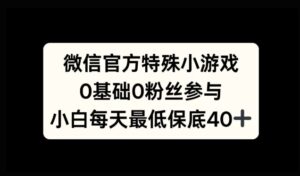 微信官方特定小游戏，0基础0粉丝，小白上手每天最少保底40+-网创资源