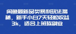 闲鱼最新品类暴利玩法揭秘，新手小白7天轻松收益3k，适合上班族副业-网创资源