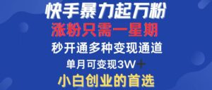 （12651期）快手暴力起万粉，涨粉只需一星期，多种变现模式，直接秒开万合，小白创…-网创资源