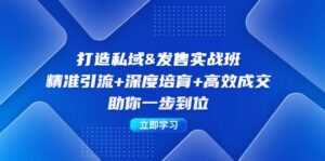 （12642期）打造私域&发售实操班：精准引流+深度培育+高效成交，助你一步到位-网创资源