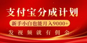 支付宝视频分成计划，一万播放200-300+，抓紧来干-网创资源