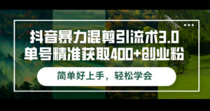 （12630期）抖音暴力混剪引流术3.0单号精准获取400+创业粉简单好上手，轻松学会-网创资源