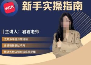 君君-小红书电商从入门到精通，新手实操指南-网创资源