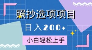 10月全新照抄选项项目，快速日入2张，操作简单易上手-网创资源