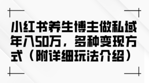 （12619期）小红书养生博主做私域年入50万，多种变现方式（附详细玩法介绍）-网创资源