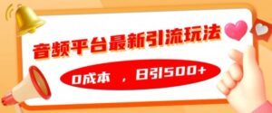 音频平台最新引流玩法，0成本，日引500+【揭秘】-网创资源
