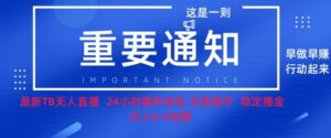 双11淘宝撸金项目–无人挂JI带货，无需值守，稳定捞金，月入5位数-网创资源
