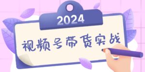 （12612期）2024视频号最新带货实战课：无人直播/书单号卖货/个人IP口播 (附资料素材)-网创资源