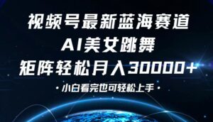 （12594期）视频号最新蓝海赛道，小白也能轻松月入30000+-网创资源