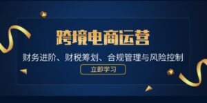 （12592期）跨境电商运营：财务进阶、财税筹划、合规管理与风险控制-网创资源