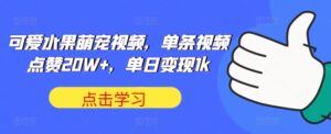 可爱水果萌宠视频，单条视频点赞20W+，单日变现1k【揭秘】-网创资源