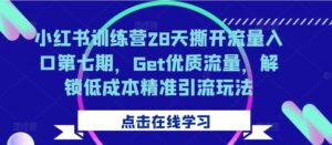 小红书训练营28天撕开流量入口第七期，Get优质流量，解锁低成本精准引流玩法-网创资源