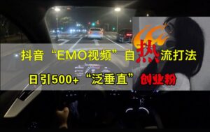 抖音EMO视频自热打法，日引500+“泛垂直”创业粉-网创资源