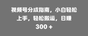 视频号分成指南，小白轻松上手，轻松搬运，日入3张-网创资源