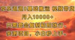 京东逛逛0基础搬运视频带货【赚佣金】月入1w-网创资源