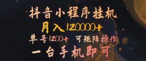 抖音小程序挂机风口项目，月入1.2w，一台手机即可操作，可矩阵操作-网创资源