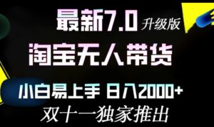 淘宝无人带货最新升级版，小白易上手，日入几张-网创资源