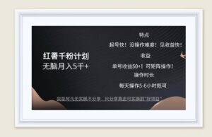 （12560期）红薯千粉计划无脑月入5千+！既做既赚！-网创资源