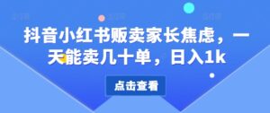 抖音小红书贩卖家长焦虑，一天能卖几十单，日入1k-网创资源