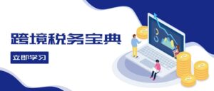（12544期）跨境税务宝典教程：跨境电商全球税务处理策略-网创资源