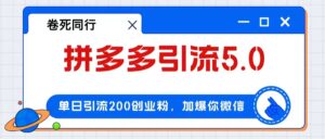 （12533期）拼多多引流付费创业粉，单日引流200+，日入4000+-网创资源