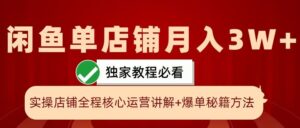 闲鱼单店铺月入3W+实操展示，爆单核心秘籍，一学就会【揭秘】-网创资源