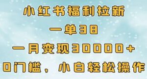小红书福利拉新，一单38，一月3000+轻轻松松，0门槛小白轻松操作-网创资源