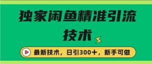 闭鱼精准引流，日引300+创业粉保姆级教程，新手可做-网创资源