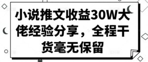 小说推文收益30W大佬经验分享，全程干货毫无保留-网创资源