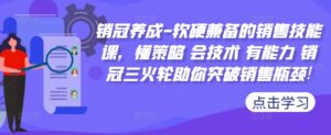 销冠养成-软硬兼备的销售技能课，懂策略 会技术 有能力 销冠三火轮助你突破销售瓶颈!-网创资源