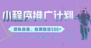 微信小程序项目，全新变现方式日均收益3张-网创资源